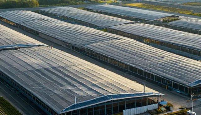 企业技术选型：如何根据实际场景选择合适技术方案